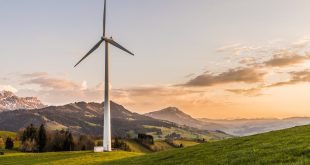 Top 10 Renewable Energy Sources in 2024